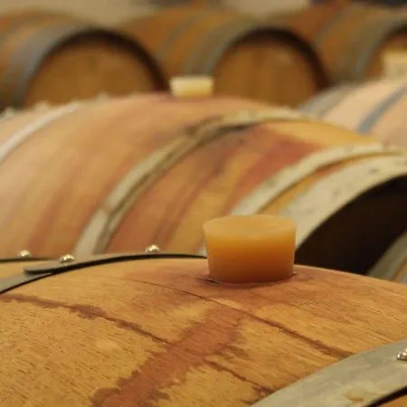 Domaine Maison Dodo