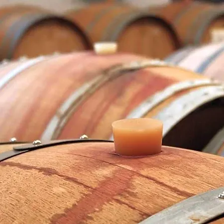 Domaine Maison Dodo 4* Lamonzie-Saint-Martin